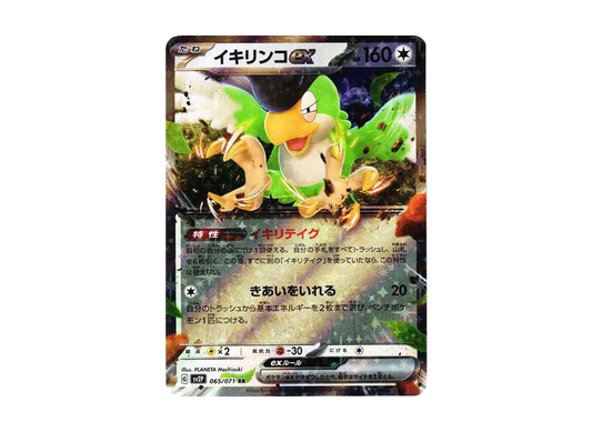 【Raw】 Squawkabilly RR[SV2P 065/071](Expansion Pack"Snow Hazard