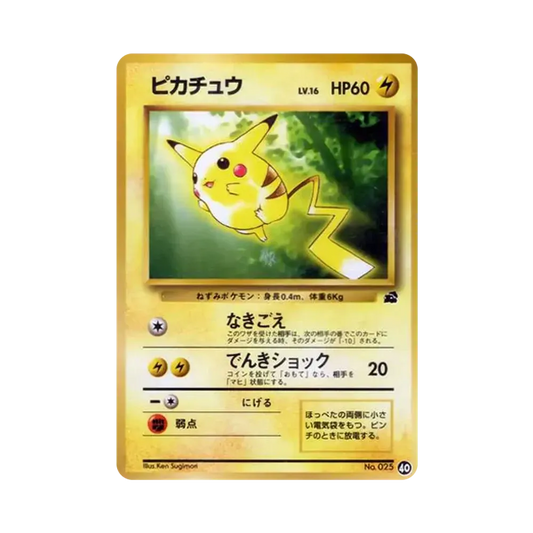 【Raw】 Pikachu: Vecchio Dorso [PMCGI 40](IntroPack)