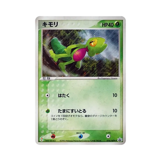 【PSA10】 Treecko [ADV-P 016](Carta promozionale "Seven-Eleven PokemonFair")