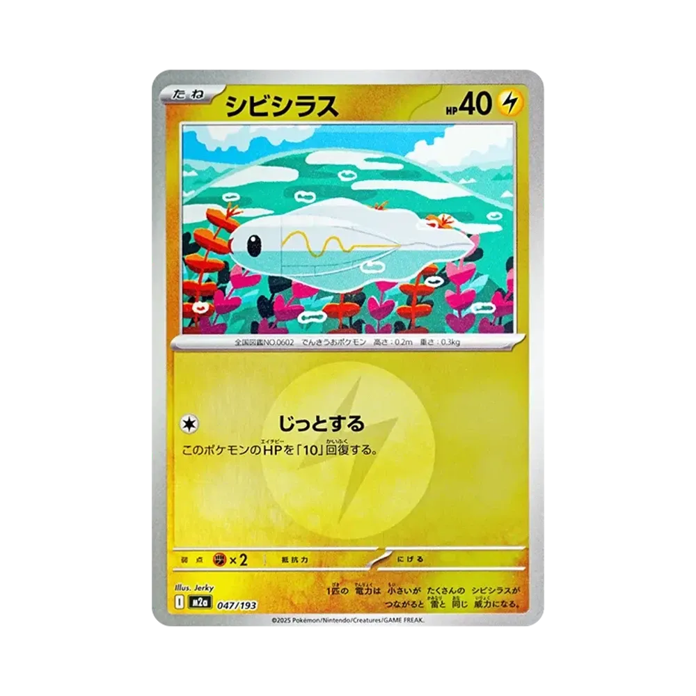 【Raw】 Tynamo[M2a 047/193](Confezione di classe superiore"MEGADream ex