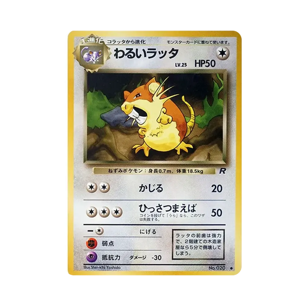 【PSA10】 Dunkles Ratikate : Alte Rückseite [PMCG4 Nr.020](Erweiterungspaket "Team Rocket")