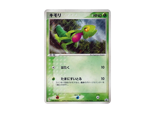 【PSA10】 Treecko [ADV-P 016](Promo Card"Seven-Eleven PokemonFair