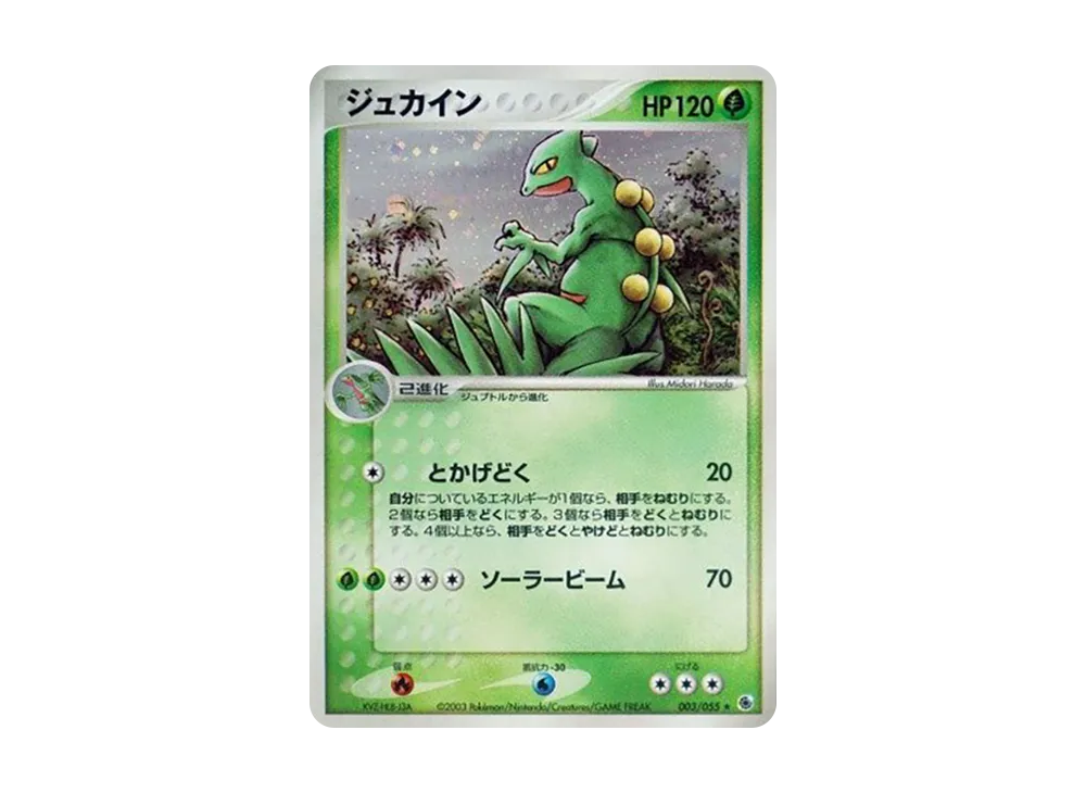 【PSA10】 Sceptile Rare [ADV1 003/055] (Pokemon Card GameADV "Vol. 1 Expansion Pack")