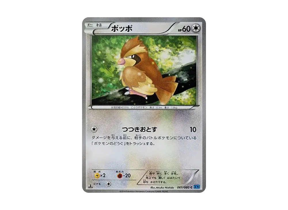 【PSA10】Pidgey C :1ED [XY2 061/080]\(Expansion Pack「Wild Blaze」)
