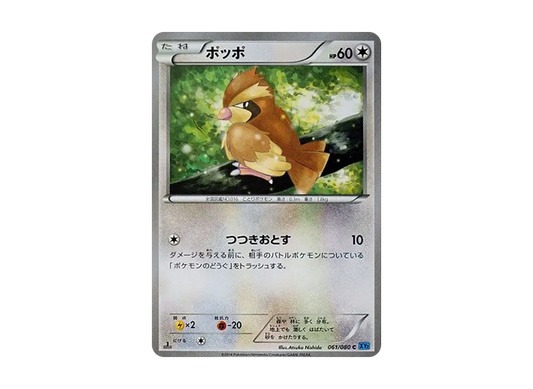 【PSA10】 Pidgey C :1ED [XY2 061/080](Expansion Pack"Wild Blaze