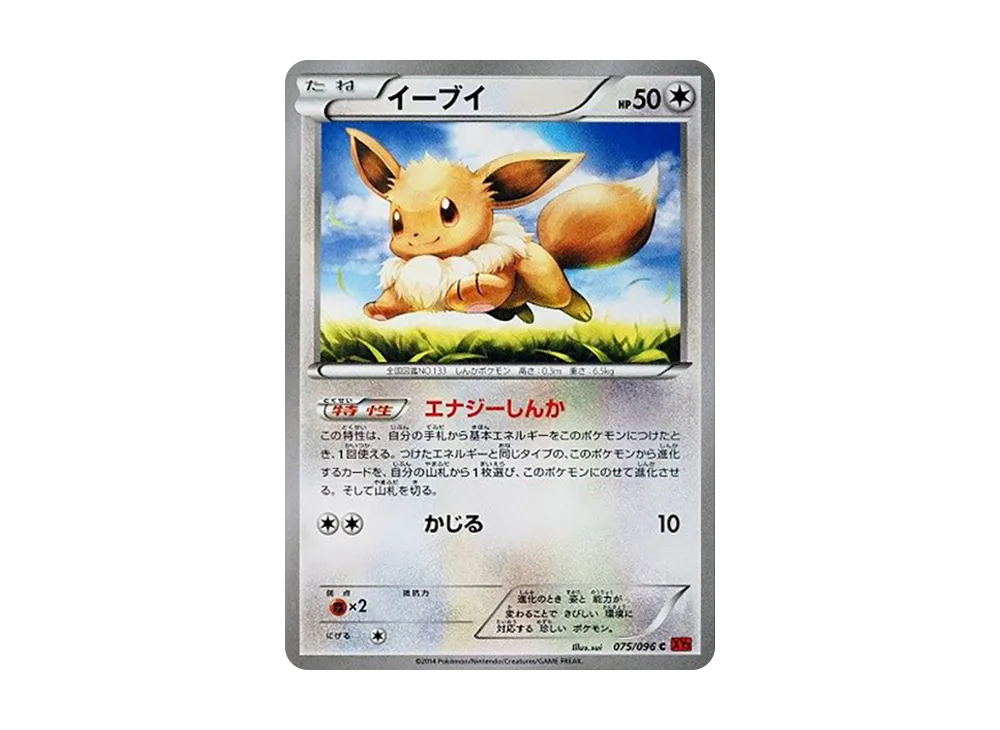 【PSA10】Eevee C [XY3 075/096]\(Expansion Pack「Rising Fist」)