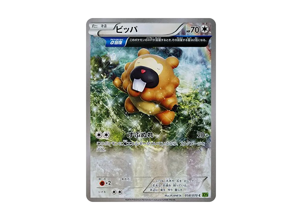 【PSA10】Bidoof C [XY5 058/070]\(Expansion Pack「Tidal Storm」)