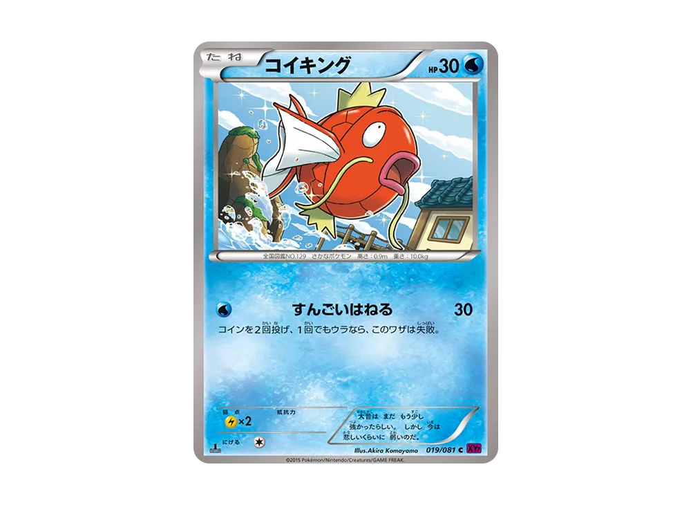 【PSA10】Magikarp C :1ED [XY7 019/081]\(Expansion Pack「Bandit Ring」)