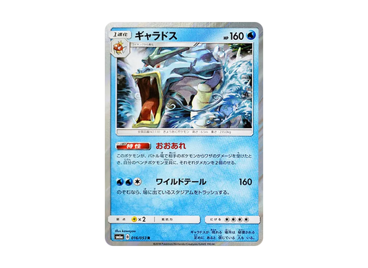 【Raw】 Gyarados R [SM6a 016/053](Enhanced Expansion Pack「Dragon Storm」)