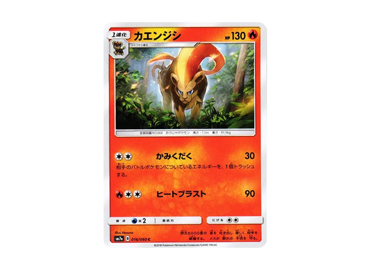【Raw】 Pyroar C [SM7a 016/060](Expansion Pack"Thunderclap Spark